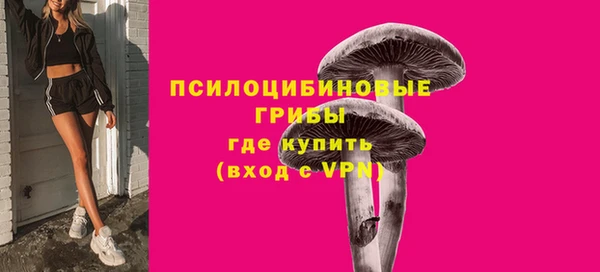 ешки Аркадак