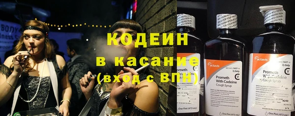 твердый Арсеньев
