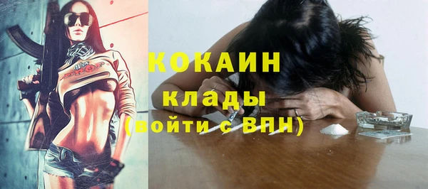 твердый Арсеньев
